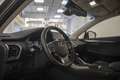 Lexus NX 300 300h Executive 4WD + Navibox Grigio - thumbnail 12