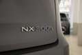 Lexus NX 300 300h Executive 4WD + Navibox Grigio - thumbnail 4