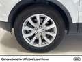 Land Rover Range Rover Evoque 5p 2.0 td4 pure business edition 150cv auto - thumbnail 20