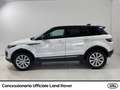 Land Rover Range Rover Evoque 5p 2.0 td4 pure business edition 150cv auto - thumbnail 4