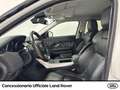 Land Rover Range Rover Evoque 5p 2.0 td4 pure business edition 150cv auto - thumbnail 7