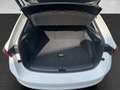 Skoda Scala 1.0 TSI DSG AHK+LED+TEMPOMAT+KAMERA+SITZHZ Weiß - thumbnail 16