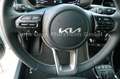 Kia Picanto 1.0 Vision  NAVI/Kamera/Facelift Weiß - thumbnail 14