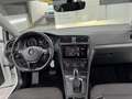 Volkswagen e-Golf 35,8kWh*Facelift*Inkl. MwSt* Weiß - thumbnail 14