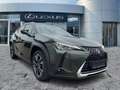 Lexus UX 250h Style Edition Navi*KAM*DAB*SHZ*Lenkradhz Verde - thumbnail 8