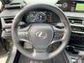 Lexus UX 250h Style Edition Navi*KAM*DAB*SHZ*Lenkradhz Verde - thumbnail 13