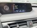 Lexus UX 250h Style Edition Navi*KAM*DAB*SHZ*Lenkradhz Verde - thumbnail 14