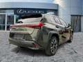 Lexus UX 250h Style Edition Navi*KAM*DAB*SHZ*Lenkradhz Verde - thumbnail 7