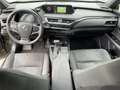 Lexus UX 250h Style Edition Navi*KAM*DAB*SHZ*Lenkradhz Verde - thumbnail 12