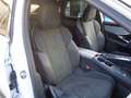 Peugeot 3008 GT MildHybrid  Benzin 136  e-DCS6 mit AHV Weiß - thumbnail 20