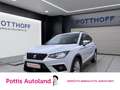 SEAT Arona 1.0 TGI STYLE NAVI ACC SITZHZG KLIMA Blanc - thumbnail 1