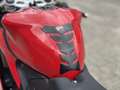 Ducati 899 Panigale | "Dépôt Vente" Rouge - thumbnail 17