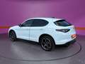 Alfa Romeo Stelvio 2.0 Turbo 16V AT8 Veloce *Allrad *ACC Grün - thumbnail 3