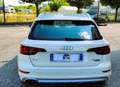Audi A4 allroad A4 Allroad QUATTRO 2.0TDI Business Evol. 190cv Beige - thumbnail 6
