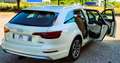 Audi A4 allroad A4 Allroad QUATTRO 2.0TDI Business Evol. 190cv Beige - thumbnail 7