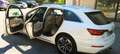 Audi A4 allroad A4 Allroad QUATTRO 2.0TDI Business Evol. 190cv Beige - thumbnail 10