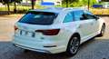 Audi A4 allroad A4 Allroad QUATTRO 2.0TDI Business Evol. 190cv Beige - thumbnail 1