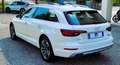 Audi A4 allroad A4 Allroad QUATTRO 2.0TDI Business Evol. 190cv Beige - thumbnail 4