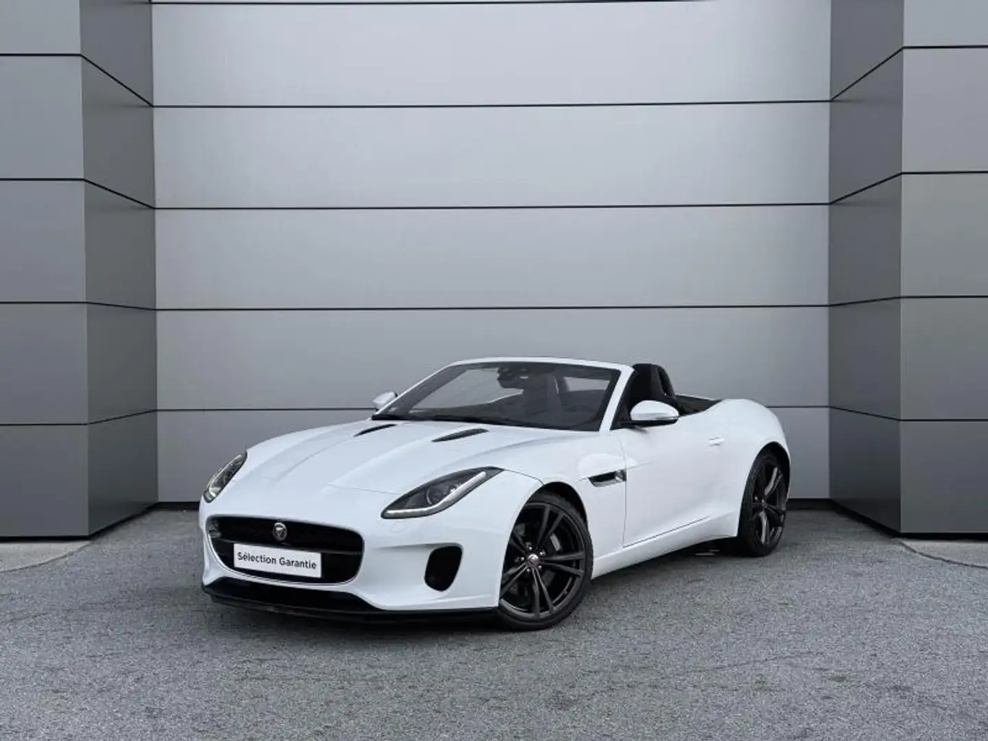 Jaguar F-Type 2.0 T 300ch BVA8 Weiß - 1