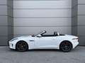 Jaguar F-Type 2.0 T 300ch BVA8 Weiß - thumbnail 6