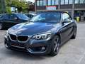 BMW 218 i Aut./Cabrio/Leder-Navi-Pdc Gri - thumbnail 17