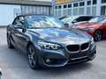 BMW 218 i Aut./Cabrio/Leder-Navi-Pdc Gri - thumbnail 16