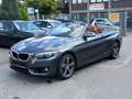 BMW 218 i Aut./Cabrio/Leder-Navi-Pdc Gri - thumbnail 2