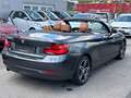 BMW 218 i Aut./Cabrio/Leder-Navi-Pdc Gri - thumbnail 3