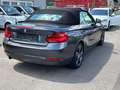 BMW 218 i Aut./Cabrio/Leder-Navi-Pdc Gri - thumbnail 18