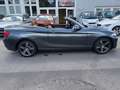 BMW 218 i Aut./Cabrio/Leder-Navi-Pdc Gri - thumbnail 7