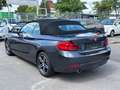 BMW 218 i Aut./Cabrio/Leder-Navi-Pdc Gri - thumbnail 19