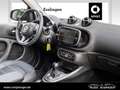 smart forTwo smart EQ  cabrio *Prime*4,6KW Bordlader*LM*KlimaA* Grau - thumbnail 4
