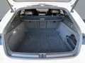 Volkswagen Arteon Shooting Brake R 4M Matrix/Leder/Pano/HK/DCC Weiß - thumbnail 21