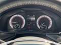 Skoda Scala 1,0 TSI Monte Carlo Lane Klima Pano Sound Weiß - thumbnail 17