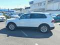 Volkswagen Tiguan 1.5 TSI 110KW Business BMT DSG ACT Bianco - thumbnail 2