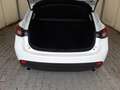 Mazda 3 2.2 Skyactiv-D 150cv Exceed 6AT *EURO 6* Bianco - thumbnail 15