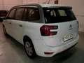 Citroen C4 G.Picasso 1.6e-HDi Seduction115(flotas) Weiß - thumbnail 4