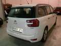 Citroen C4 G.Picasso 1.6e-HDi Seduction115(flotas) Weiß - thumbnail 5