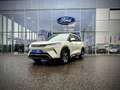 BYD Atto 2 Atto2 64,8 kWh Comfort Österreich Paket Grün - thumbnail 1