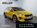 Kia XCeed 1.5 T DCT7 PLATINUM EDITION *Sportabgas* Gold - thumbnail 4
