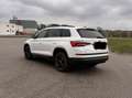 Skoda Kodiaq Kodiaq 2,0 TDI SCR 4x4 Ambition Ambition Weiß - thumbnail 4