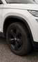 Skoda Kodiaq Kodiaq 2,0 TDI SCR 4x4 Ambition Ambition Weiß - thumbnail 9