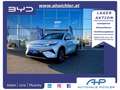 BYD Atto 3 EVO Design RWD 230KW in LEASING AKTION Weiß - thumbnail 1