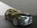 Lexus NX 350h Executive Vert - thumbnail 6