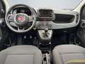 Fiat New Panda 1.0 DAB Spurhalteass. Verkehrszeichenerk. Notbrems Weiß - thumbnail 10