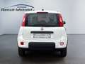 Fiat New Panda 1.0 DAB Spurhalteass. Verkehrszeichenerk. Notbrems Weiß - thumbnail 4