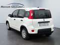 Fiat New Panda 1.0 DAB Spurhalteass. Verkehrszeichenerk. Notbrems Weiß - thumbnail 3