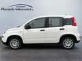 Fiat New Panda 1.0 DAB Spurhalteass. Verkehrszeichenerk. Notbrems Weiß - thumbnail 2