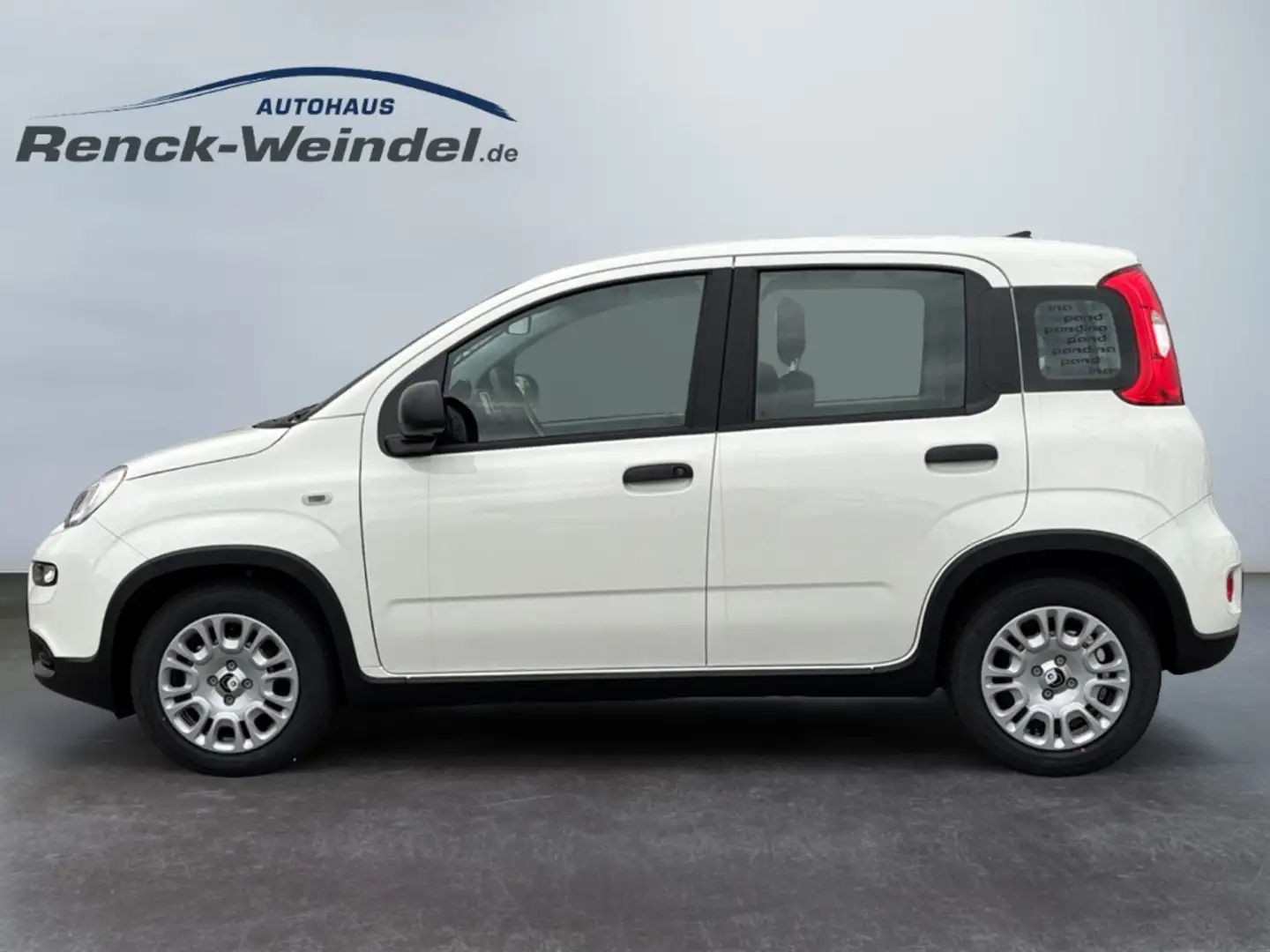 Fiat New Panda 1.0 DAB Spurhalteass. Verkehrszeichenerk. Notbrems Alb - 2