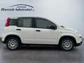 Fiat New Panda 1.0 DAB Spurhalteass. Verkehrszeichenerk. Notbrems Weiß - thumbnail 6